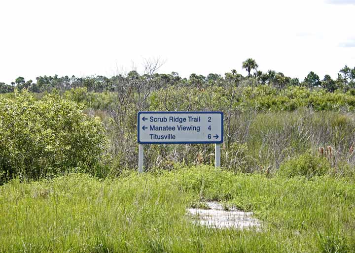 BLACKPOINTDRIVEEXIT1-ED