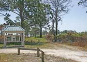 PINEFLATWOODSTRAIL2-ED