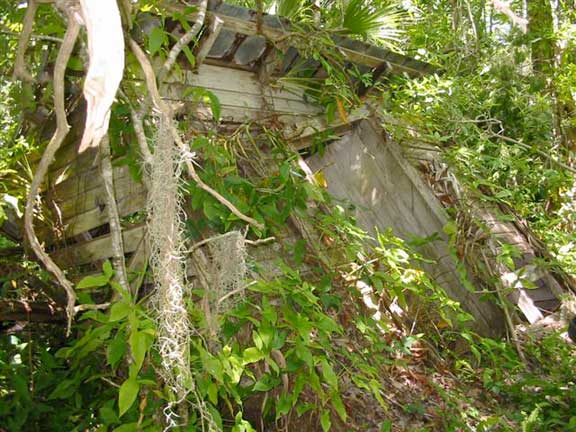 4-Holer Outhouse remains