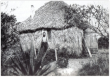 An early settler's hut.