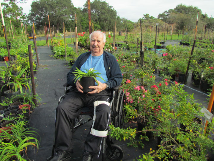 The Men's Garden Club -Burl
