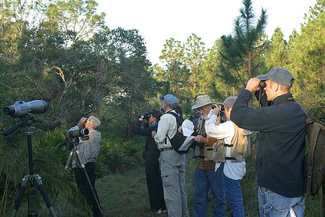 BirdingatLakeMonroe