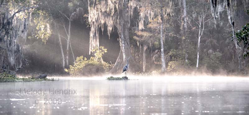 River-Mist