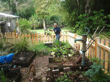 Our garden in progress